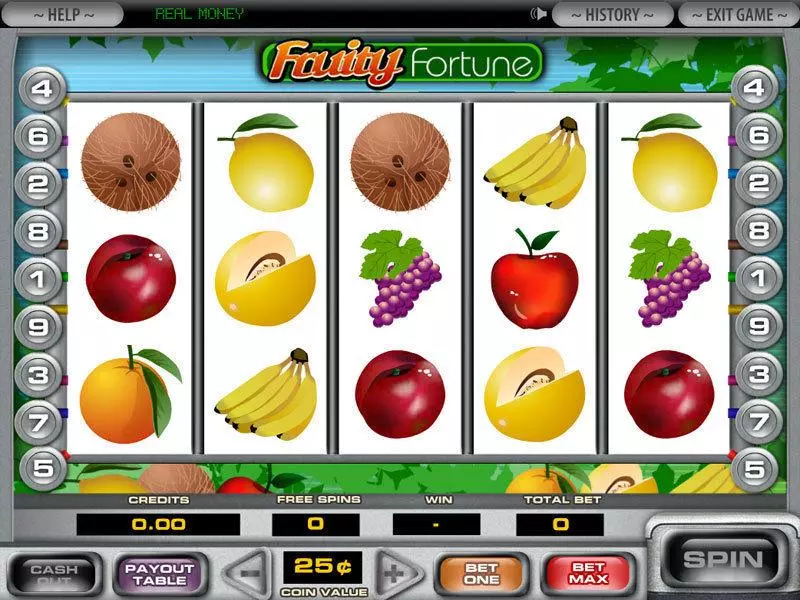 5-Reel Fruity Fortune DGS Slots - Main Screen Reels