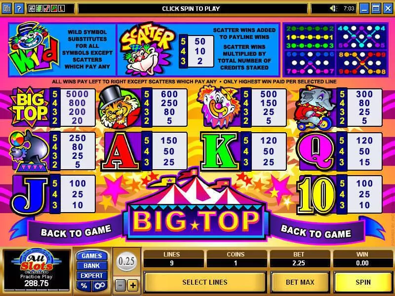 Big Top Microgaming Slots - Info and Rules