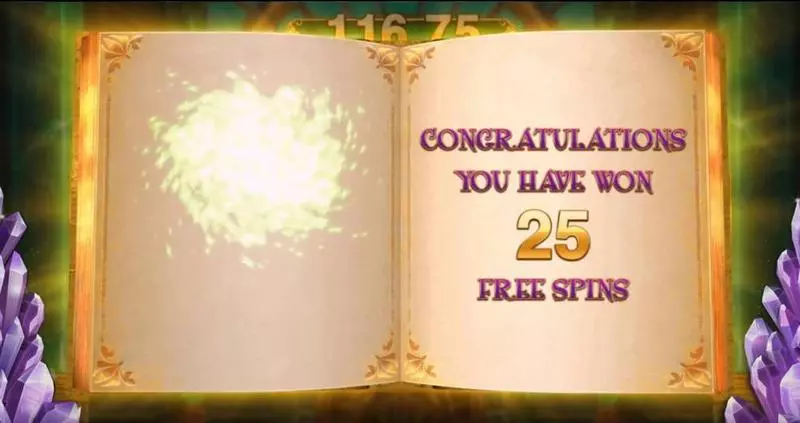 Book of Oz Lock ‘N Spin Microgaming Slots - Free Spins Feature