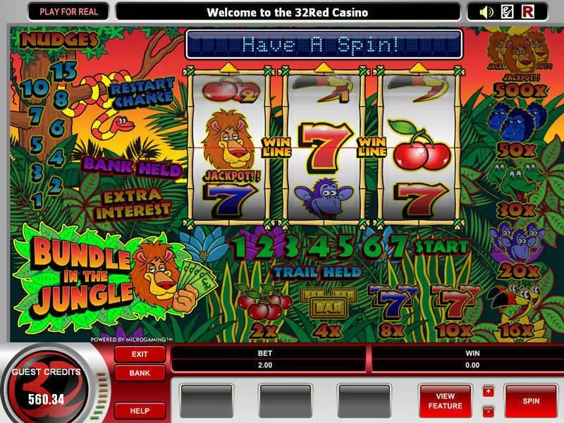 Bundle in the Jungle Microgaming Slots - Bonus 1