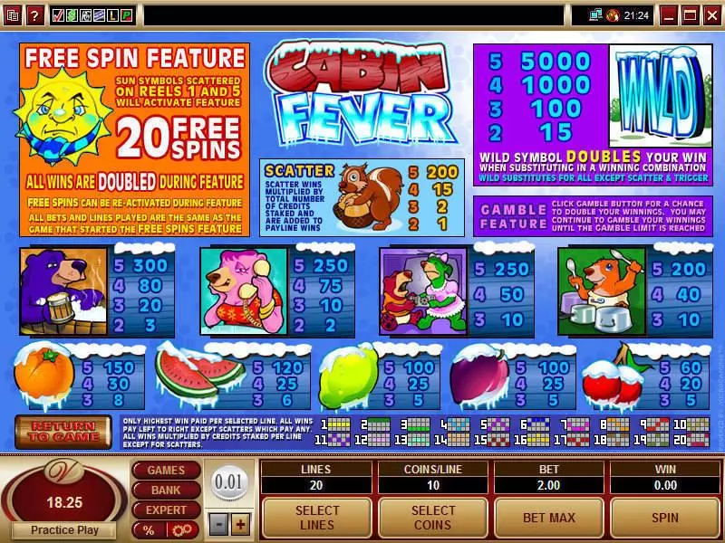 Cabin Fever Microgaming Slots - Info and Rules