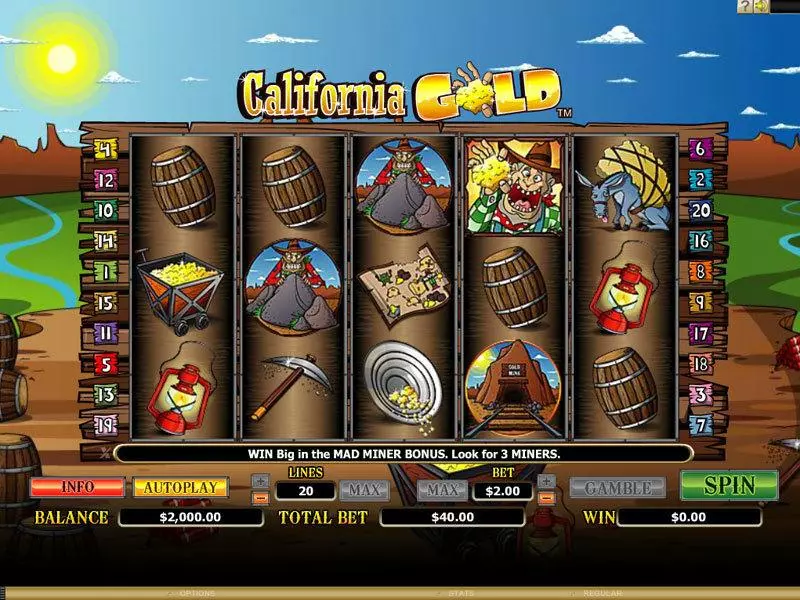 California Gold Microgaming Slots - Main Screen Reels