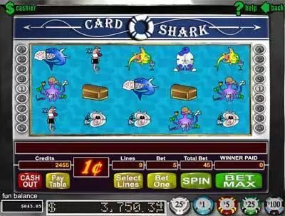 Card Shark RTG Slots - Main Screen Reels
