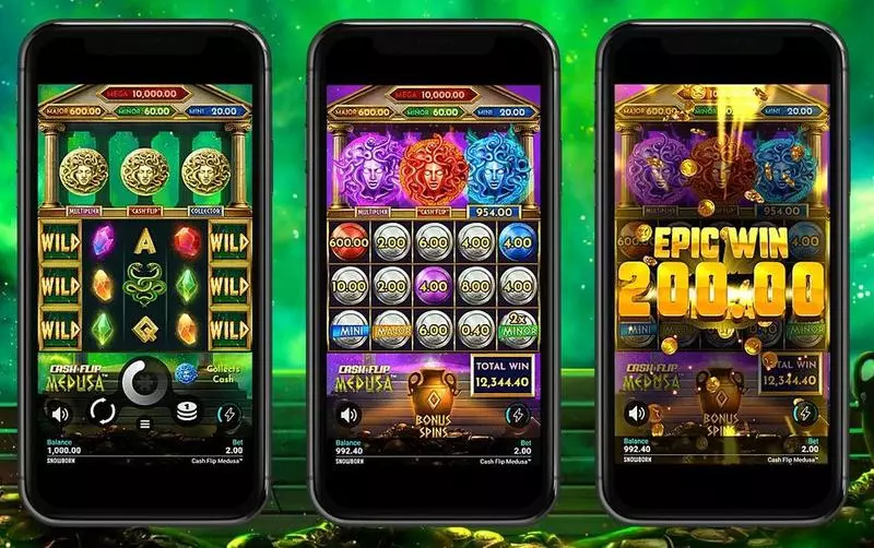 Cash Flip Medusa Snowborn Games Slots - Introduction Screen