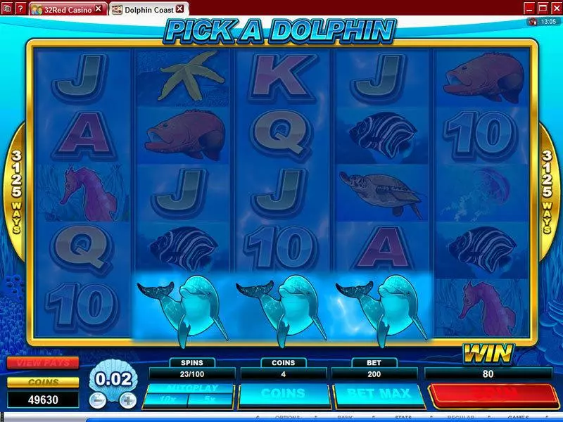 Dolphin Coast Microgaming Slots - Bonus 1