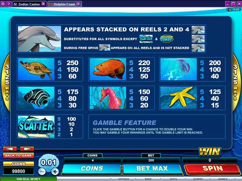 Dolphin Coast Microgaming Slots - Info and Rules