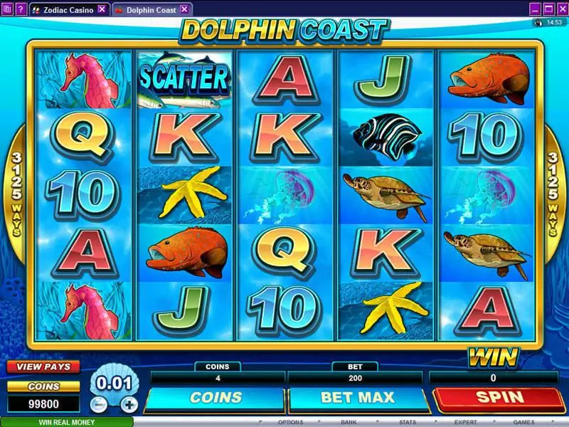 Dolphin Coast Microgaming Slots - Main Screen Reels
