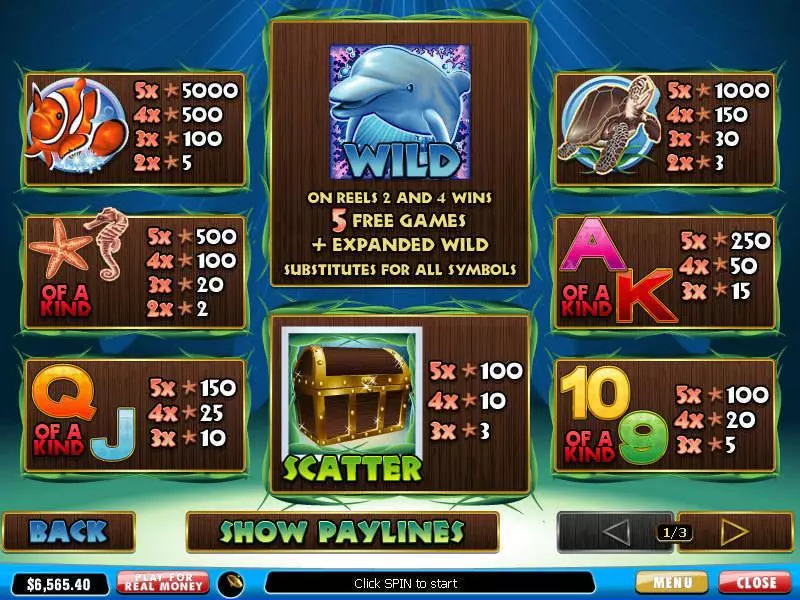 Dolphin Reef PlayTech Slots - Info and Rules