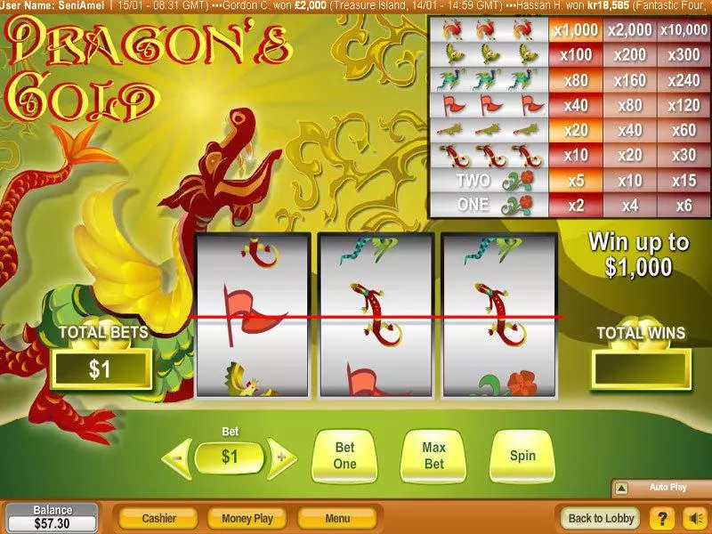 Dragon's Gold NeoGames Slots - Main Screen Reels