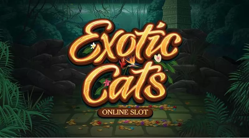 Exotic Cats Microgaming Slots - Info and Rules