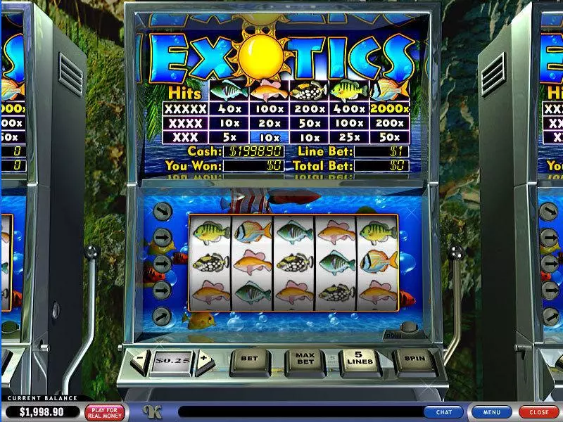 Exotics PlayTech Slots - Main Screen Reels