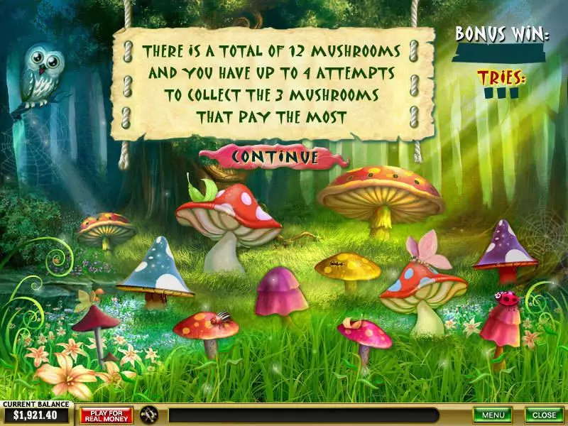 Forest of Wonders PlayTech Slots - Bonus 1