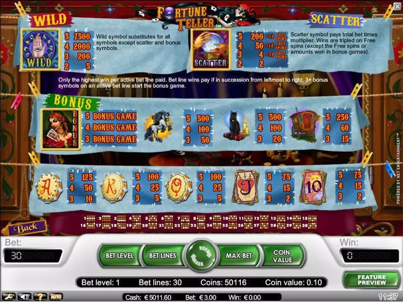 Fortune Teller NetEnt Slots - Info and Rules