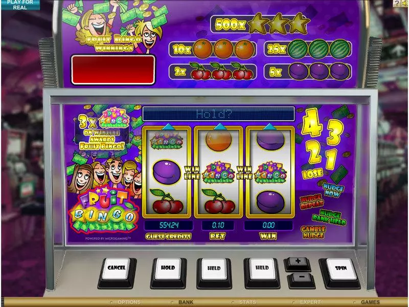 Fruit Bingo Microgaming Slots - Main Screen Reels