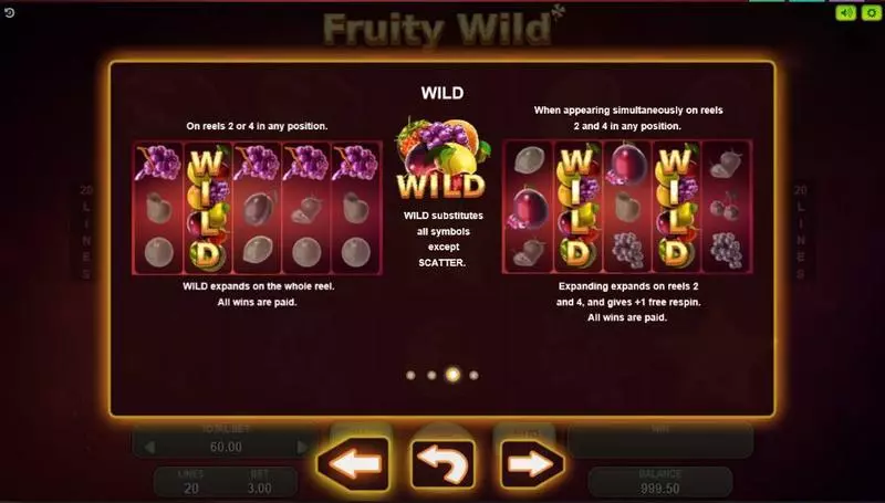 Fruity Wild Booongo Slots - Bonus 1