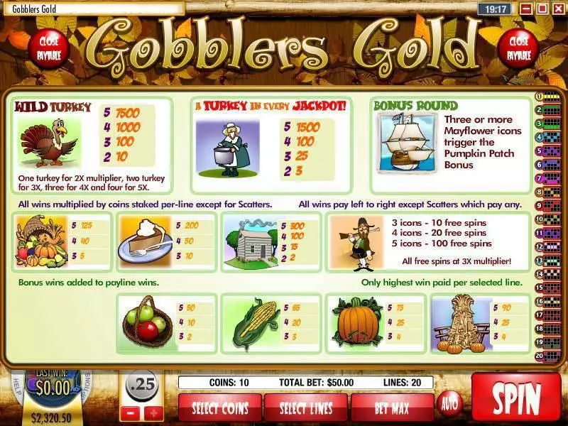 Gobblers Gold Rival Slots - Info and Rules