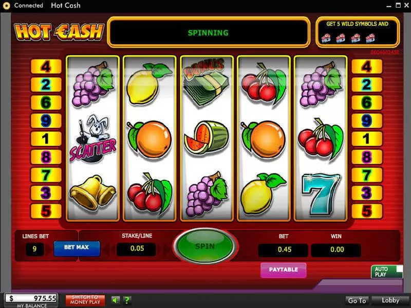 Hot Cash 888 Slots - Main Screen Reels