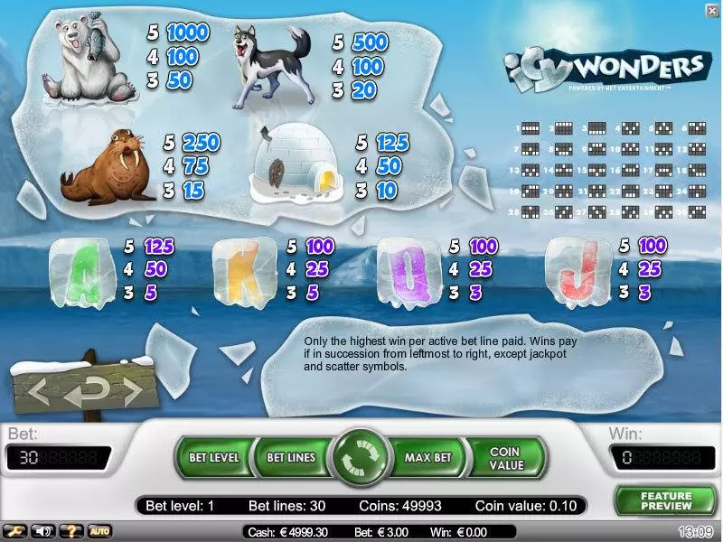 Icy Wonders NetEnt Slots - Info and Rules