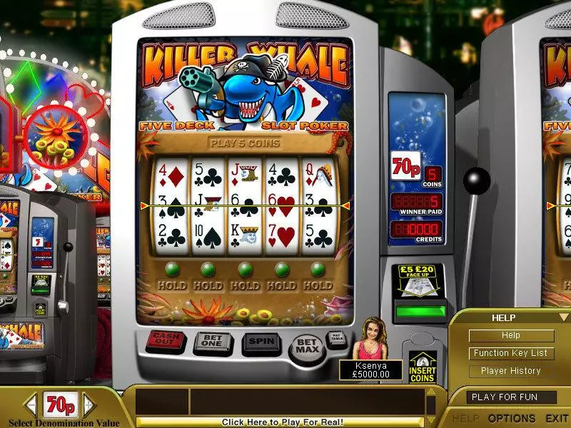 Killer Whale Poker Boss Media Slots - Main Screen Reels
