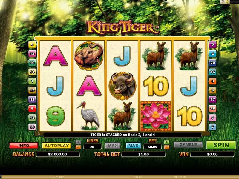 King Tiger Microgaming Slots - Main Screen Reels