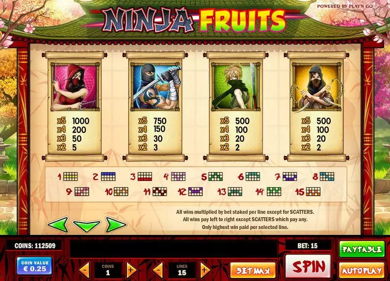 Ninja Fruits Play'n GO Slots - Info and Rules