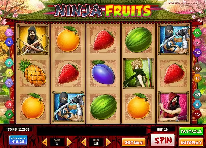 Ninja Fruits Play'n GO Slots - Main Screen Reels