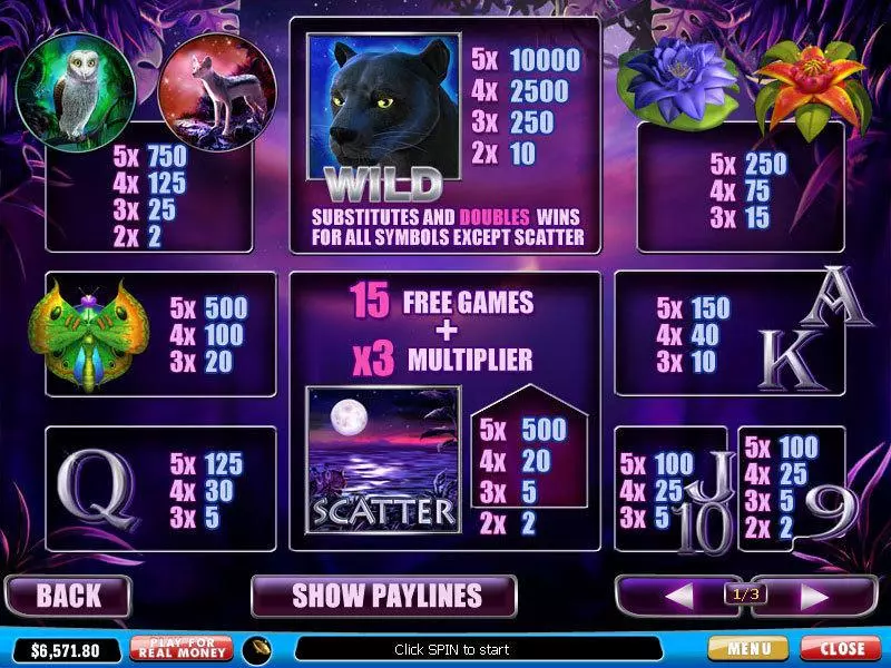 Panther Moon PlayTech Slots - Info and Rules