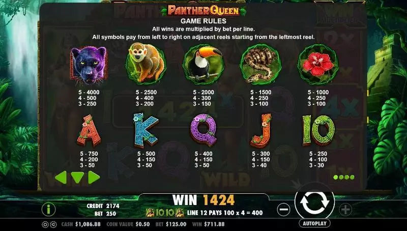 Panther Queen PartyGaming Slots - Info and Rules