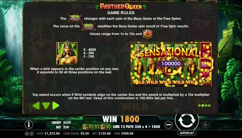 Panther Queen PartyGaming Slots - Info and Rules