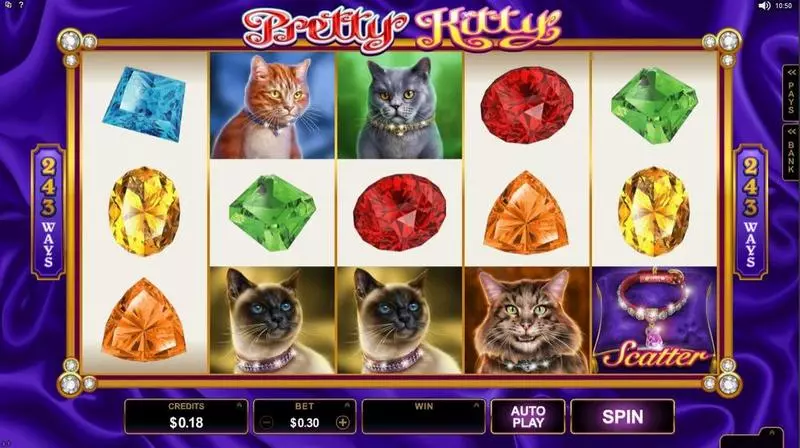 Pretty Kitty Microgaming Slots - Introduction Screen