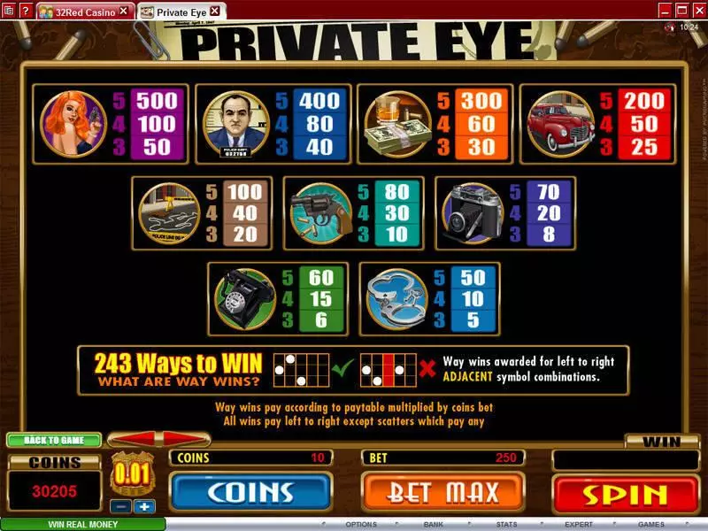 Private Eye Microgaming Slots - Info and Rules