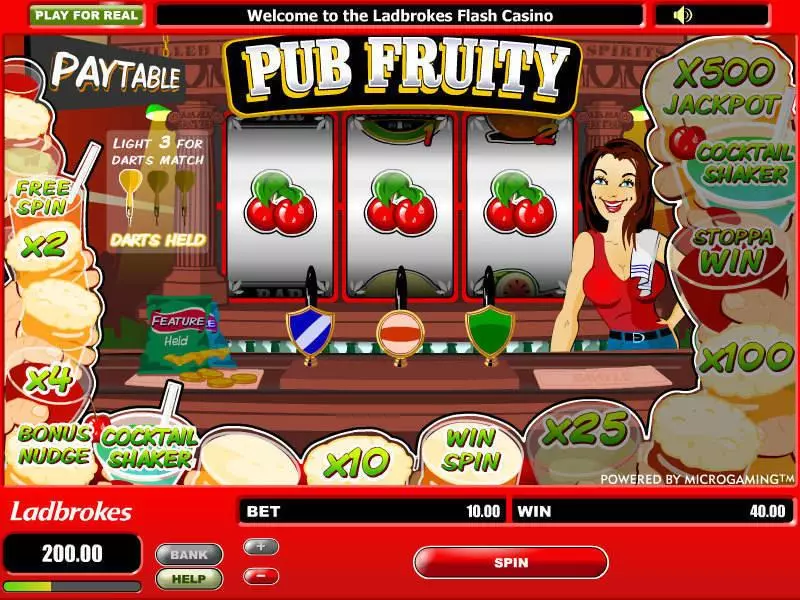 Pub Fruity Microgaming Slots - Main Screen Reels