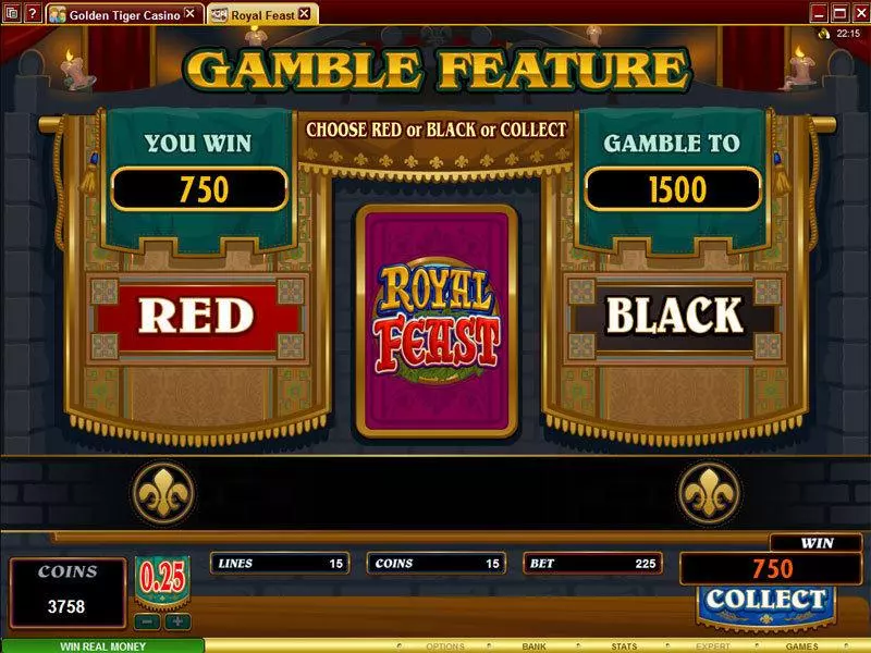 Royal Feast Microgaming Slots - Gamble Screen