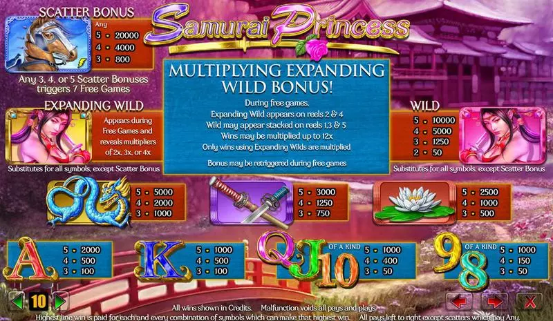 Samurai Princess Amaya Slots - Info and Rules