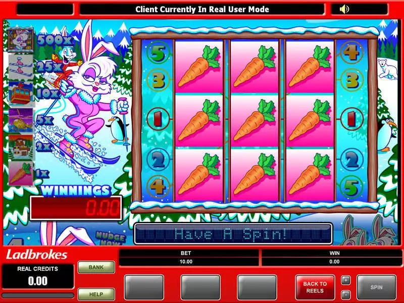 Ski Bunny Microgaming Slots - Bonus 1