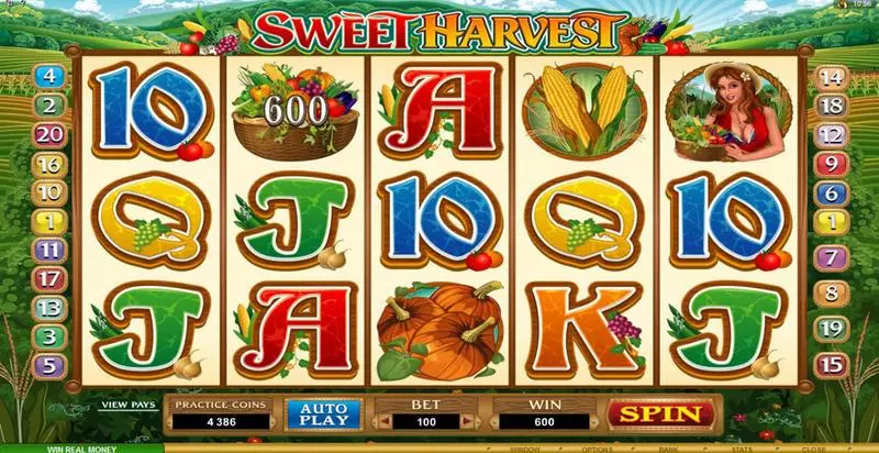 Sweet Harvest Microgaming Slots - Bonus 1