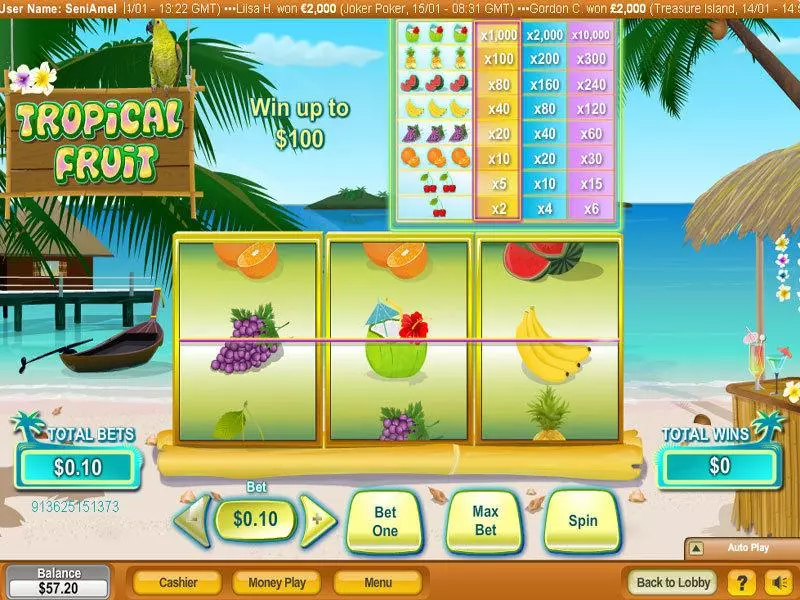 Tropical Fruit NeoGames Slots - Main Screen Reels