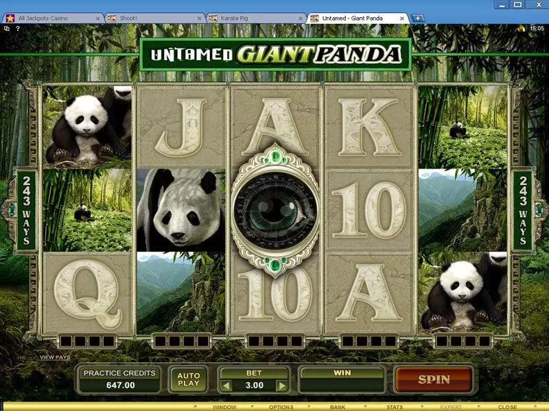 Untamed - Giant Panda Microgaming Slots - Main Screen Reels