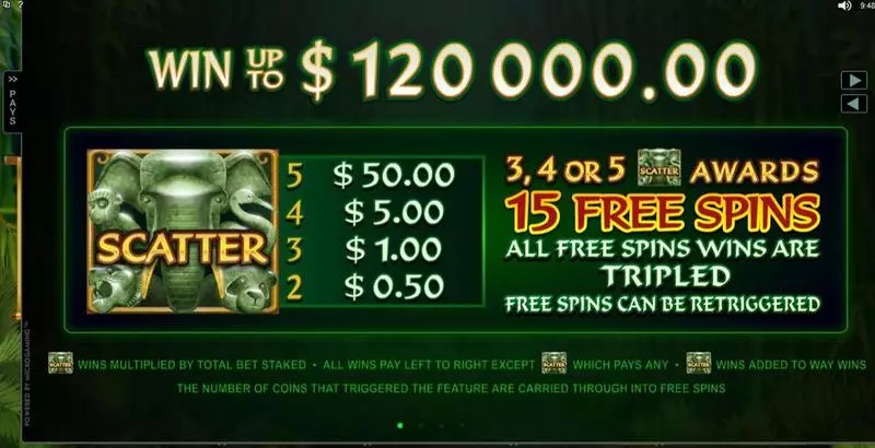 Wild Orient Microgaming Slots - Info and Rules