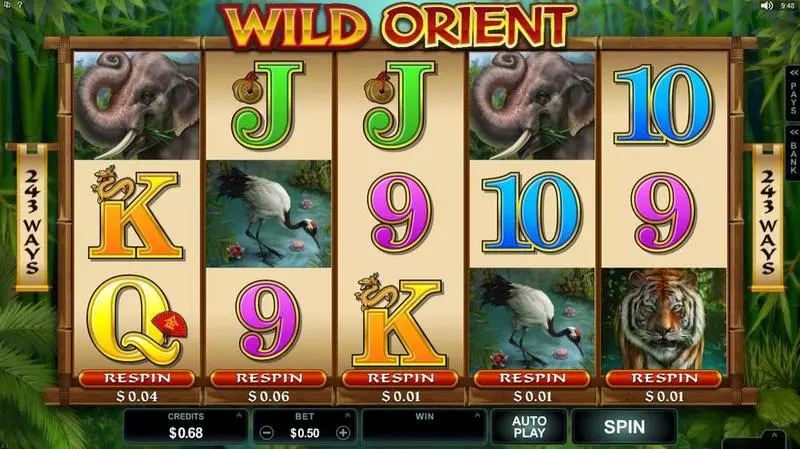 Wild Orient Microgaming Slots - Introduction Screen